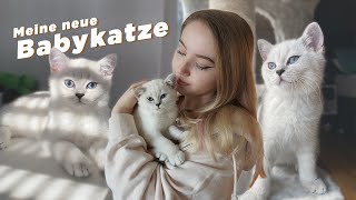 MEINE BABYKATZE TABBY ZIEHT EIN 🏠 [upl. by Dolf]