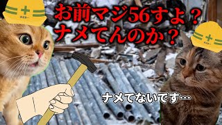 ブラックすぎる建築業の派遣の1日 猫ミーム 猫マニ [upl. by Esinrahs979]