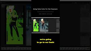 Using false colors to get my exposure right in Lightroom classic by Nobe Omni Scopes [upl. by Haneehs]