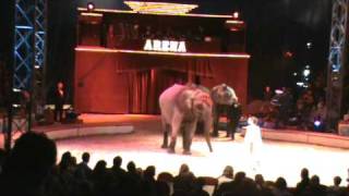 merrylu casselly´s elefant act [upl. by Dorca195]