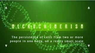 Another Persons Cells in Your Body  Microchimerism [upl. by Ybrik683]