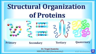 2 Structural organization of proteins Amino acid chemistry  Biochemistry  NJOY Biochemistry [upl. by Kano]