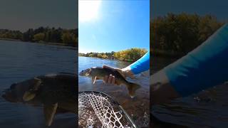 Northern Wisconsin Walleye Springgreentackle walleye fishing [upl. by Sikleb]