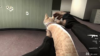 Cat Gun in CSGO [upl. by Riedel]