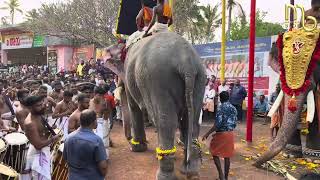 KODUMOOTTIL POORAM 2024 II PARIPALLY II GURUVAYUR DAMODARDAS II BHAGAVATHI THIDAMP [upl. by Peppard]