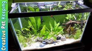 HOW TO setup a 20 Gallon Planted Aquarium 🌱🌿💧 Substrate and Supplies [upl. by Keg]