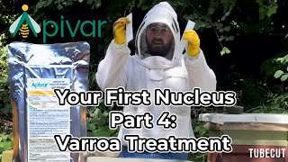 My first nucleus Part 4  Treating Bees for Varroa Mites with Apivar [upl. by Ariaec68]