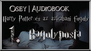 Harry Potter és az azkabani fogoly hangoskönyv remake  1 fejezet [upl. by Ahsekyw]