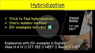 Hybridization in detail with 20 example ✅ Trick for hybridization Steric number method  A001 [upl. by Sharlene]