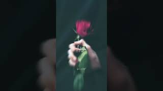 Adiye Sakkarakati❤️Meesaya MurukuLyrics WhatsApp StatusTrending shortsSubscribe for more videos [upl. by Jehias]