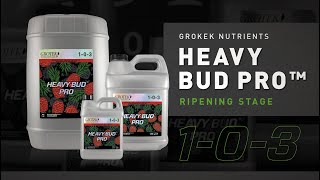 Grotek Nutrients  Heavy Bud Pro™ [upl. by Rollo876]