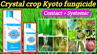 kyoto fungicideCrystalAzoxystrobin11Tebuconazole183SCkyoto fungicide price dose work result [upl. by Prochora603]