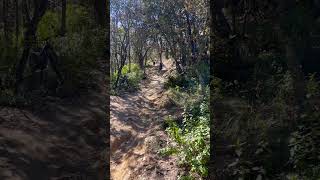 Tendido en Lagunas mtb mtbenduro mtblife mtbenduromexico mountainbike trekbikes [upl. by Nlycaj]