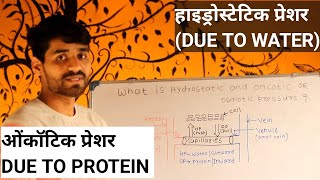 WHAT IS HYDROSTATIC AND ONCOTIC OR OSMOTIC PRESSURE इन हिंदी [upl. by Yenot]