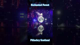 Enchanted Forest Pitlochry Scotland lightshower pitlochry enchantedforest beautifulscotland [upl. by Torry700]