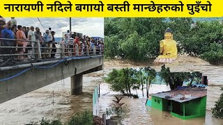 चितवनको नारायणी नदिले बगायो बस्ती  Narayani river flood  latest update [upl. by Brunhilda]