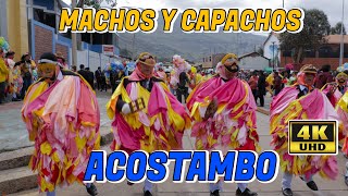 MACHOS Y CAPACHOS  ACOSTAMBO  2024 [upl. by Junette883]