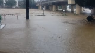 MARIKINA RIVER UPDATE [upl. by Anayra]