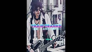 Train Tracks  Izzy Stradlin lyric [upl. by Nanah612]