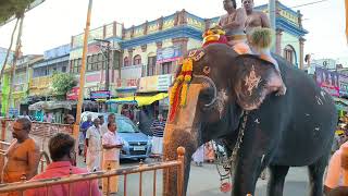 Srirangam Vishwaroopa darshan [upl. by Nooj]