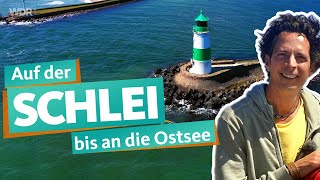 Die Schlei – Naturparadies am Ostseefjord  WDR Reisen [upl. by Auqinot947]