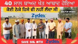 40 ਸਾਲਾਂ ਬਾਅਦ ਪਹਿਲੀ ਸ਼ਾਨਦਾਰ ਫ਼ਸਲ ਹੋਈ Save your soil with Zytonic M by Zydex [upl. by Annirok]