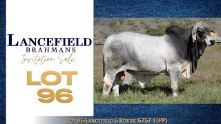 Lot 96 Lancefield S Robbie 6757  1 PP [upl. by Marmion]