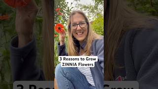 3 Reasons to Grow Zinnias in Your Garden growveg gardening diygardening gardeningideas [upl. by Luapnaej]