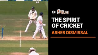 Ashes dismissal triggers debate over the spirit of cricket  The Drum [upl. by Quickel]