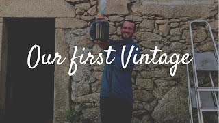 How to make Natural Wine Our First Vintage from start to finish [upl. by Eitsim497]