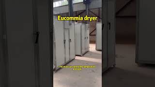 Eucommia dryer [upl. by Xonnel997]