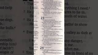 Psalms 2230 [upl. by Nylle]