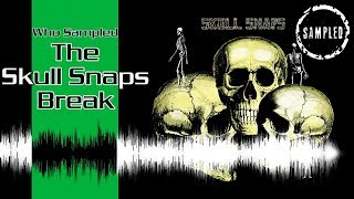 Who Sampled The Skull Snaps Break [upl. by Allard41]