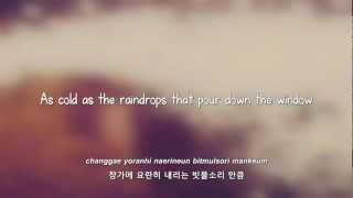 Lyn 시간을 거슬러 Back in Time lyrics Eng  Rom  Han [upl. by Enelyt]