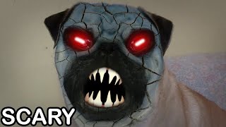 Demon Pug dog scary face [upl. by Ari860]