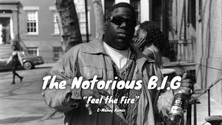 The Notorious BIG Feel the Fire EMoney Remix [upl. by Greta925]