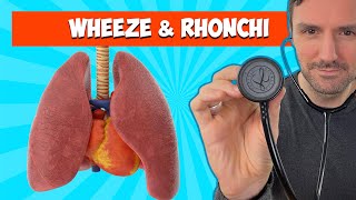 Wheeze and Rhonchi 🩺 🫁 Lung Sounds For Beginners 🔥🔥🔥 [upl. by Alfonzo]