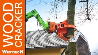 Merlo Roto  Greifersäge Woodcracker CS580smart [upl. by Anelas460]