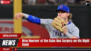 Nico Hoerner of the Cubs Has Surgery on His Right Hand [upl. by Huberto]