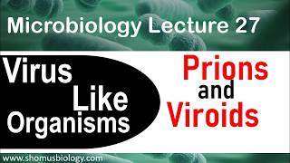 Prions and viroids [upl. by Adnomar]