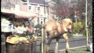 Eelderwolde groenteboer Blaauw 1981 [upl. by Howie]