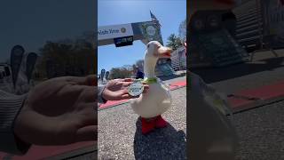 Wrinkle Duck Beat many people in racing 🥰☺️ [upl. by Capwell]