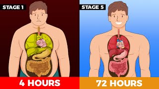 What happens to your body while Fasting  The 5 stages of Fasting [upl. by Pinebrook]