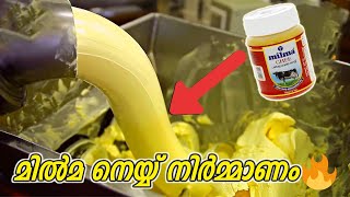 How Ghee and Butter is Processed in Factory  നെയ്യ് ബട്ടർ എന്നിവ ഫാക്ടറിയിൽ ഉണ്ടാക്കുന്നത് കാണാം [upl. by Aikemat251]