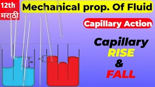 Capillary Action capillaries capillaryaction [upl. by Theran509]