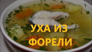 Уха из форелиСуп с форели и с картофелем [upl. by Lemal]