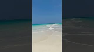 Sansibar Tansania shorts beach beautiful [upl. by Airekal388]