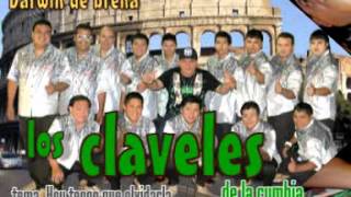 LOS CLAVELES DE LA CUMBIA  TENGO QUE OLVIDARLA PRIMICIA 2014 [upl. by Calvin]