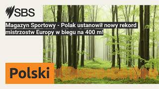 Magazyn Sportowy  Polak ustanowił nowy rekord mistrzostw Europy w biegu na 400 m  SBS Polish [upl. by Yhtimit555]