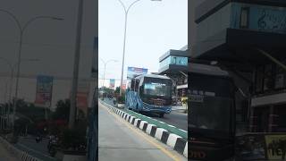 Bus Coyo Melintasi Rita Tegal [upl. by Modeste]